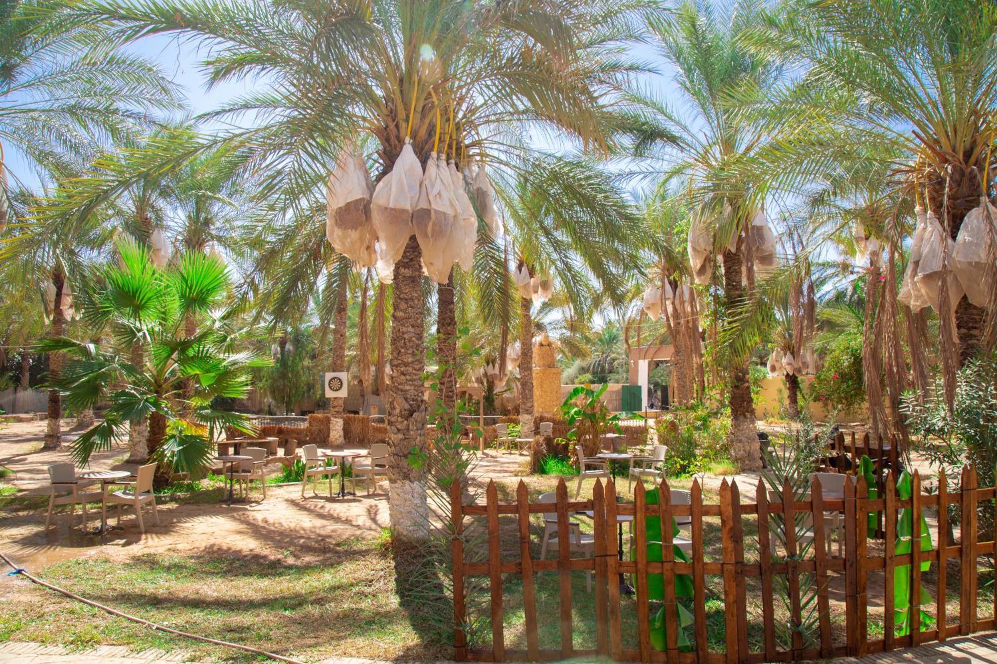 Residence El Arich Tozeur Exterior photo